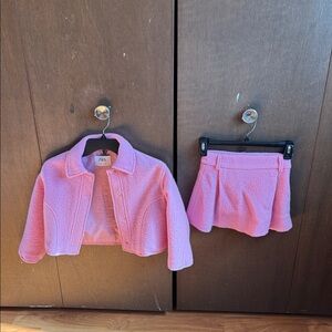 Zara Pink Textured Jacket and Skirt Set